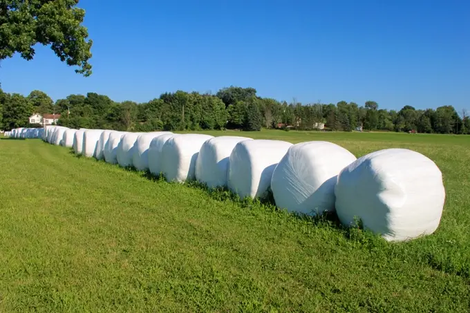 cotton bales tied up